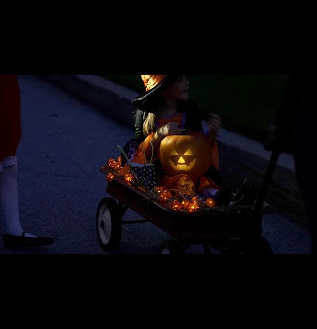✨ Holiday Specials - 👻🎃Jabberin' Jack Halloween Fun