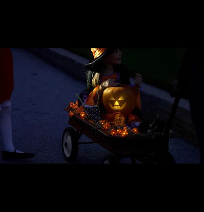 ✨ Holiday Specials - 👻🎃Jabberin' Jack Halloween Fun